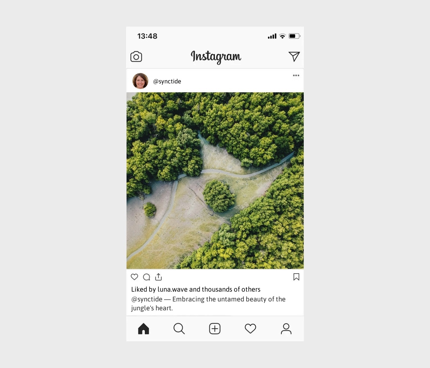 jungle-captions-for-instagram