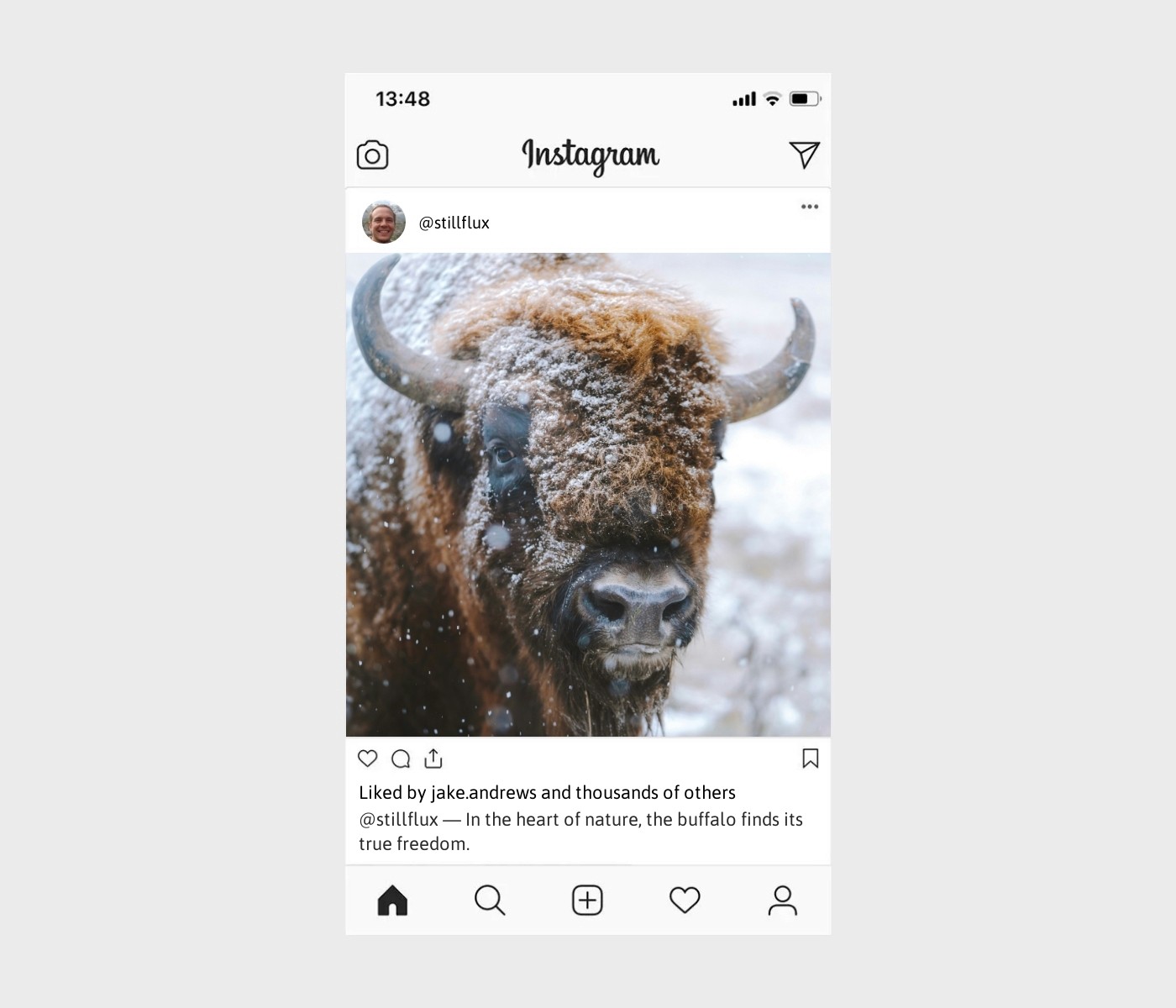 buffalo-captions-for-instagram