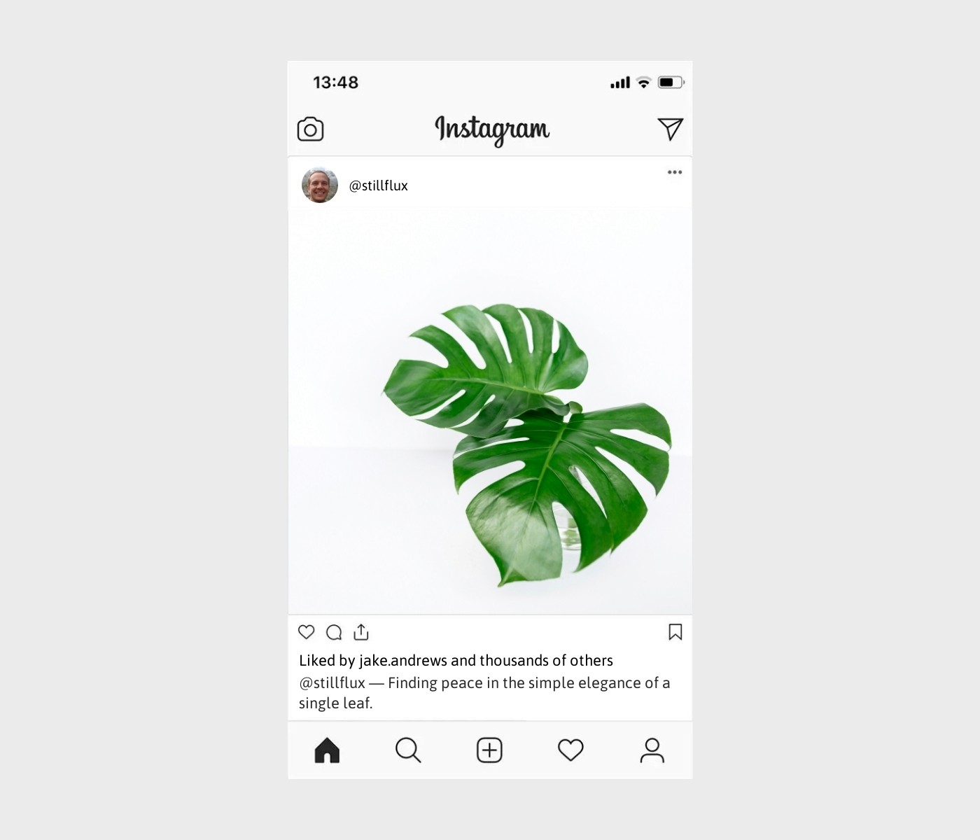 leaf-captions-for-instagram
