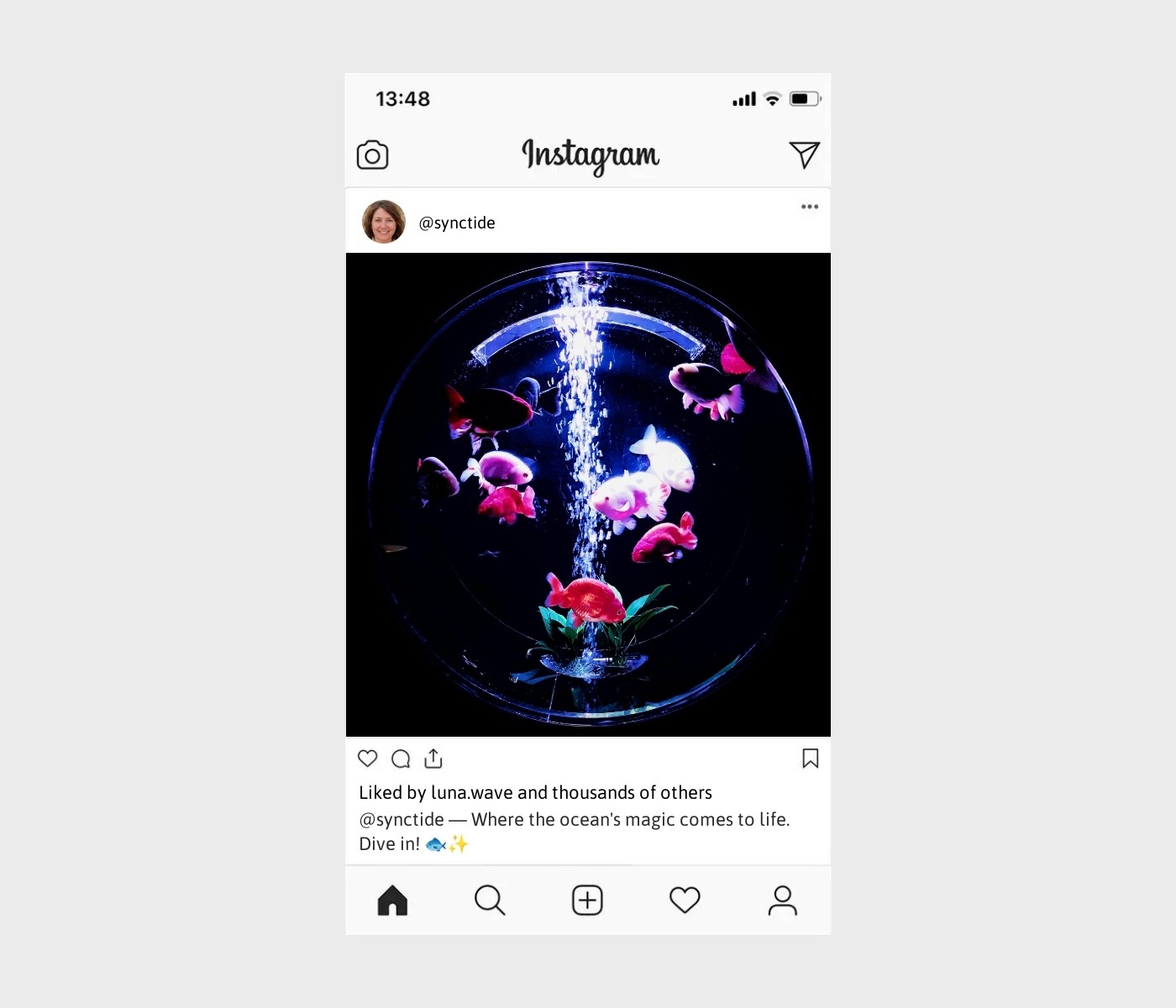aquarium-captions-for-instagram