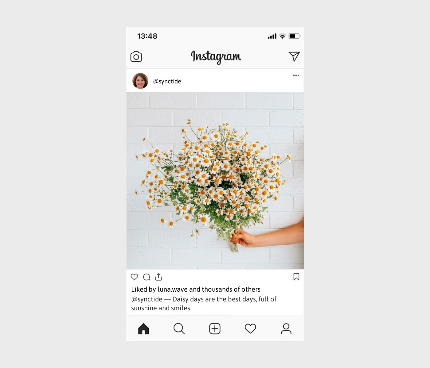 daisy-captions-for-instagram