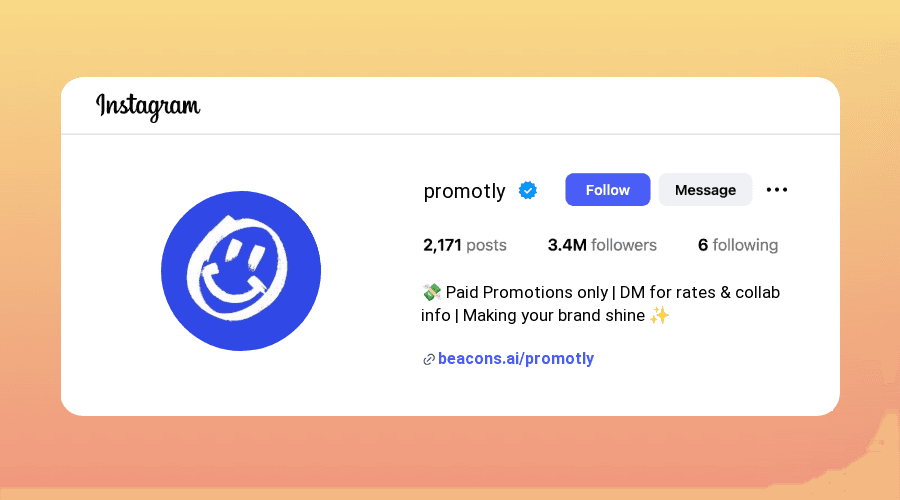 Paid Promotion Instagram Bios for DM design